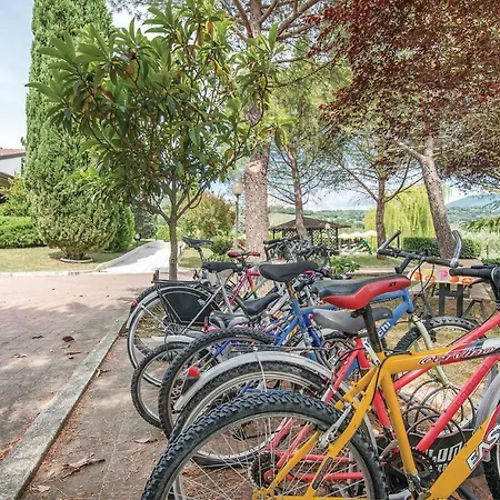Assisi *
